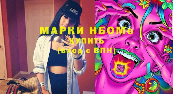стаф Калининец
