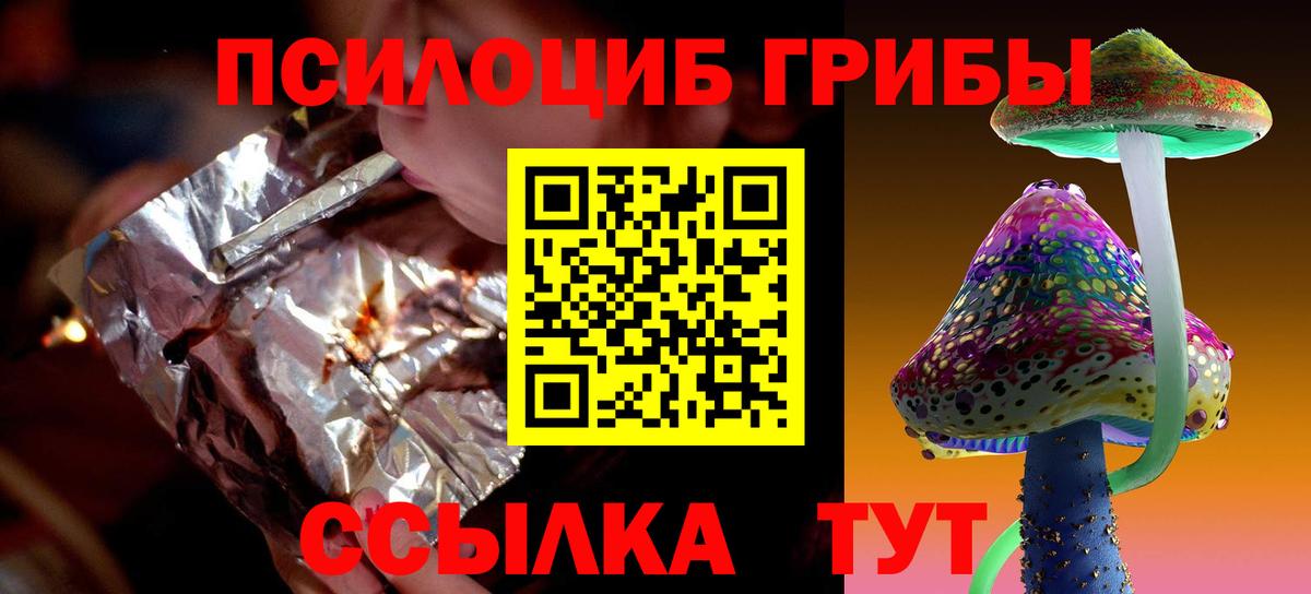 Псилоцибиновые грибы мицелий Реутов