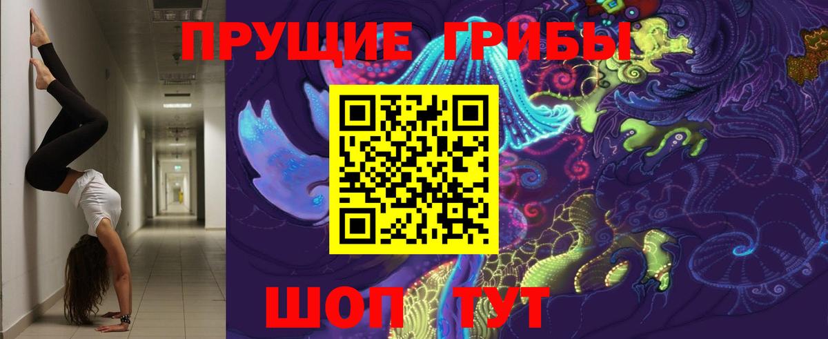 Реутов  Псилоцибиновые грибы GOLDEN TEACHER  Вход с VPN  Галлюциногенные грибы Magic Shrooms 